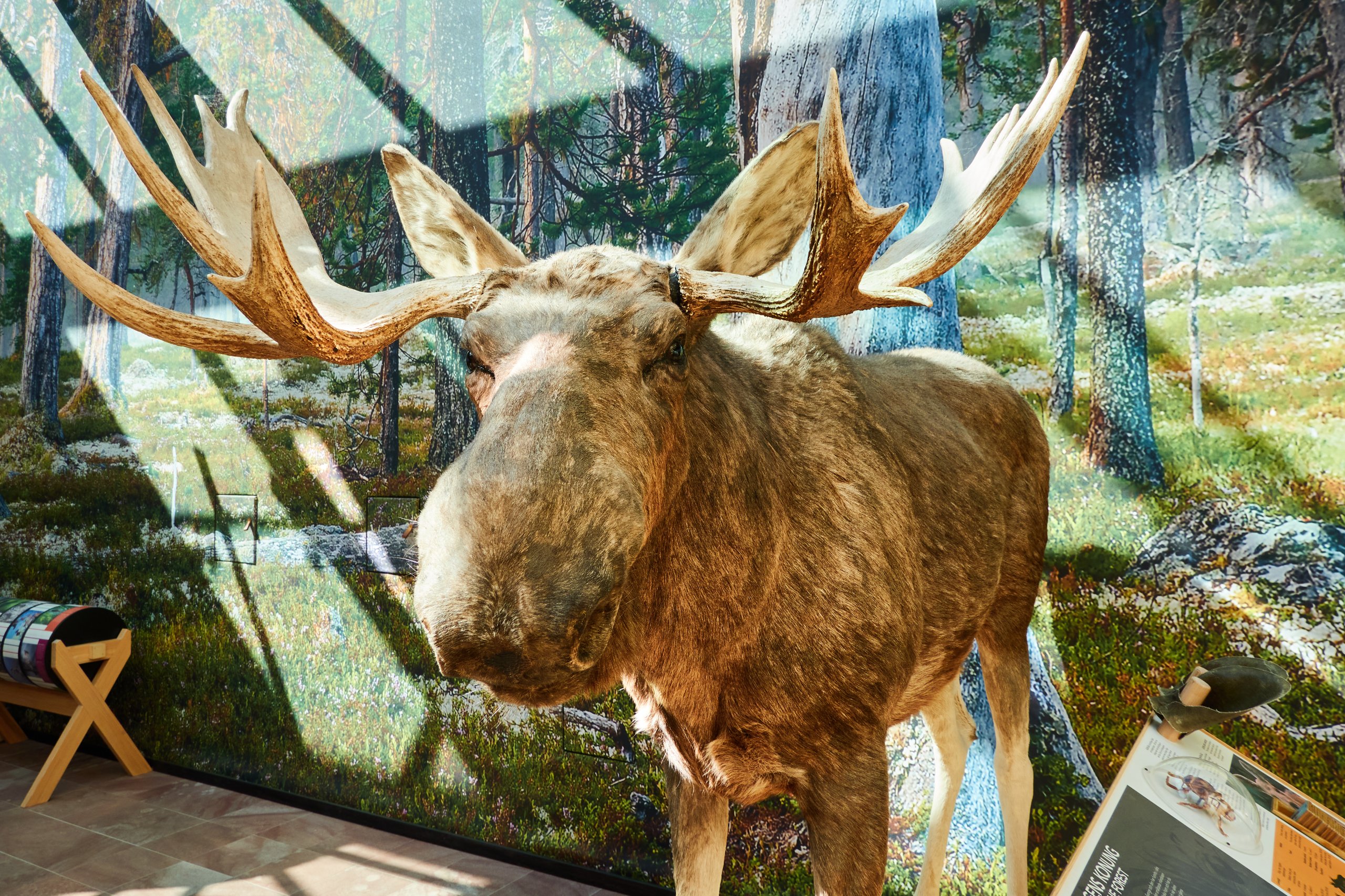 2024 05 24 Sverige 0303